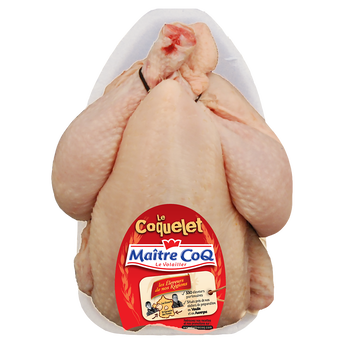 Image de Coquelet blanc MAITRE COQ