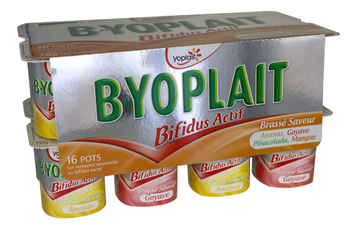 Image de BdeYoplait Fruits Jaunes x
