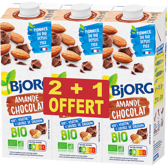 Image de Boisson végétale Amande chocolat bio BJORG - 2 briques de