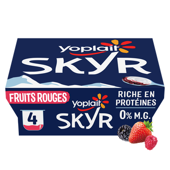 Image de Yaourt Skyr sur lit aux fruits rouges YOPLAIT SKYR