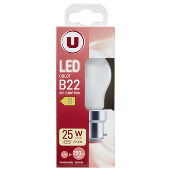 Image de U
Ampoule LED mini ronde 25w B22 opaque et