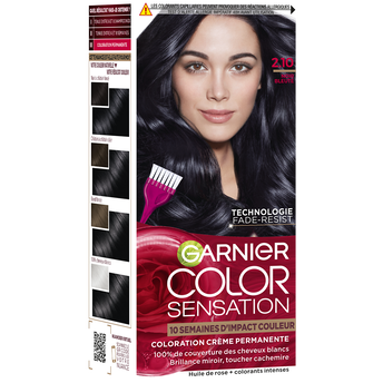 Image de Coloration Noir Bleuté 2.10 COLOR SENSATION