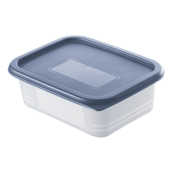 Image de Boîte ROTHO domino freeze en polypropylène