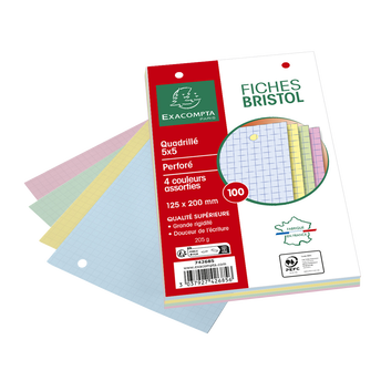 Image de Fiches perforées BRISTOL, 12,5x20 cm, couleur, pack de 100