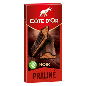 Image de Chocolat noir fourré au praliné noisettes COTE D'OR - Tablette de