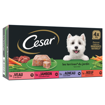 Image de Barquettes chien Les terrines du jardin CESAR