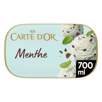 Image de Bac crème glacée menthe chocolat CARTE D'OR