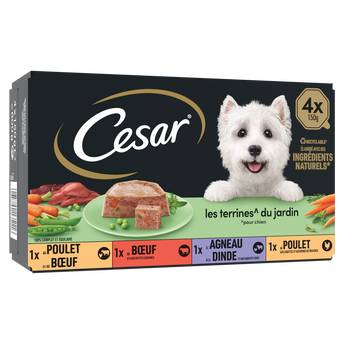Image de Barquettes chien Les terrines du jardin CESAR