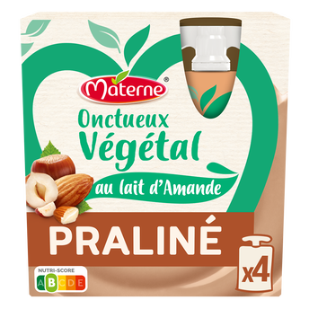 Image de Gourdes Onctueux Dessert Végétal Praliné MATERNE