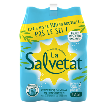 Salvetat Eau Minérale Naturelle Gazeuse Salvetat, 6x1,15litre