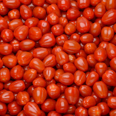 Tomates cerises - Vrac