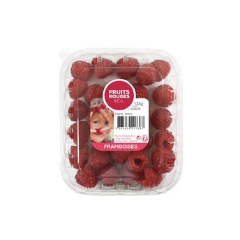 Image de Framboises, Maroc, barquette