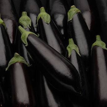Image de Aubergine, calibre 300/400g, Espagne à la