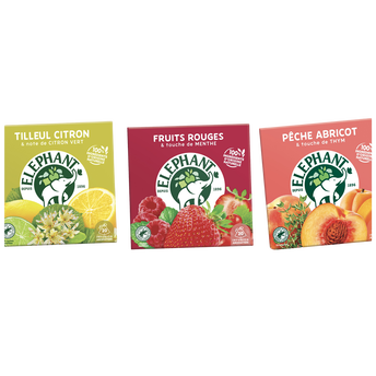 Image de Infusion framboise menthe ELEPHAN x20 sachet pyramid