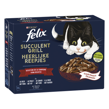 Felix Felix Grill Sélection Campagne Pour Chat 12x80g