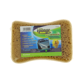 Image de Eponge grand lavage