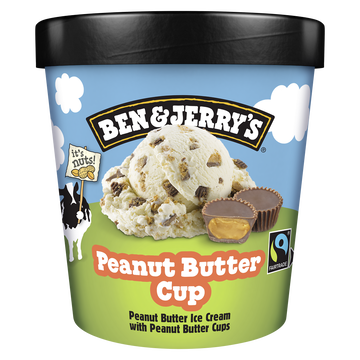 Ben & Jerry's Ben & Jerry's Glace En Pot Peanut Butter 465ml
