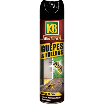 Image de Aerosol guêpe et frelons KB sans odeur 400