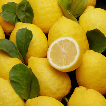Image de Citron Primofiori, Calibre 4, Catégorie 1, Espagne à la