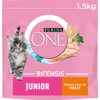 Image de Croquettes pour chaton JUNIOR Poulet, Céréales Complètes PURINA ONE