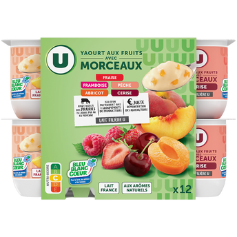 Image de U
Yaourt aux morceaux de fruits panachés