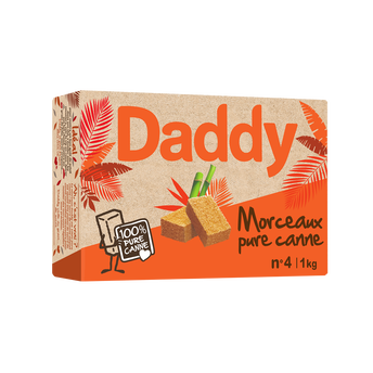 Image de Sucre de canne pure en morceaux DADDY