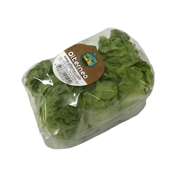 Salade Coeur De Sucrine - Comptoirprimeur