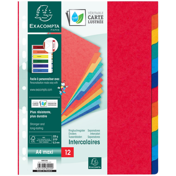 Image de Intercalaires EXACOMPTA, extra large, 23x29,7 cm, 12 positions