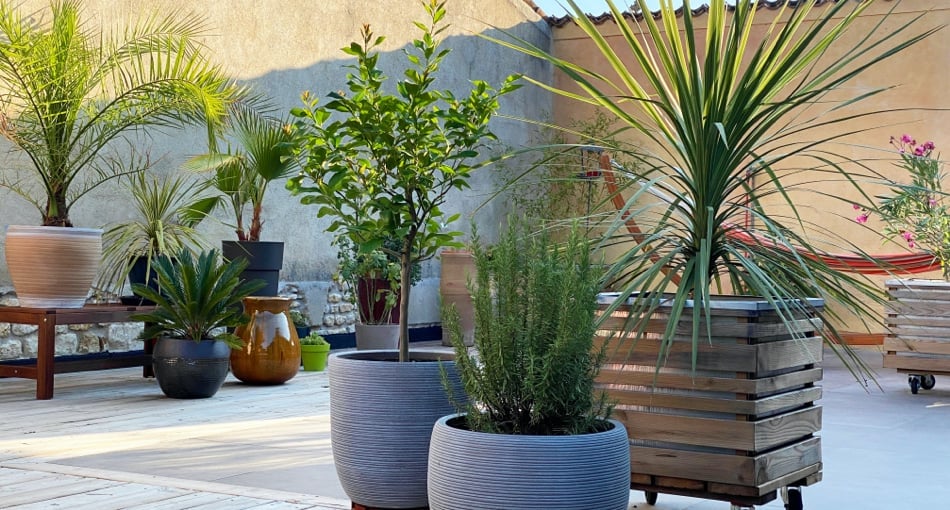 Je découvre la déco du jardin