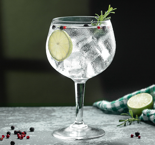 Verre de gin tonic garni d'une rondelle de citron