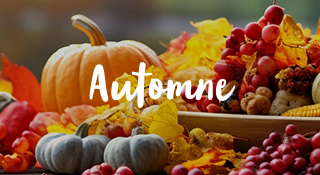 Les fruits et légumes d'automne