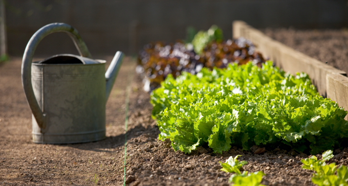 Entretenir mon jardin