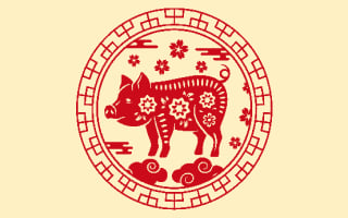 le cochon