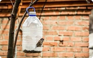 DIY MANGEOIRE À OISEAUX