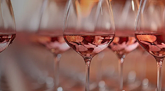 Tout savoir sur les vins rosés