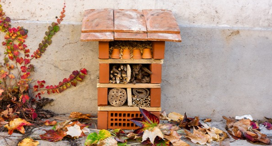fabriquer une cabane à insectes