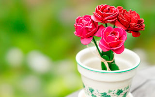 roses éternelles