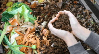 Le compost : mode d’emploi