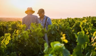 Liste des vignobles de France