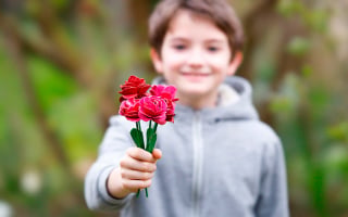 roses boite d’oeufs
