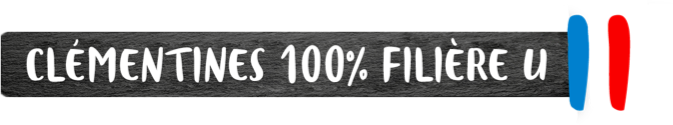 Filière U