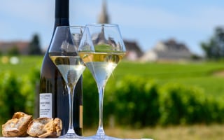 vin blanc Bourgogne