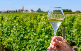 vin blanc Loire