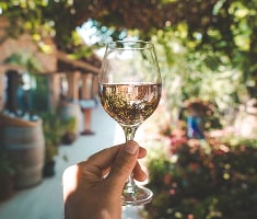 vins blanc bio 