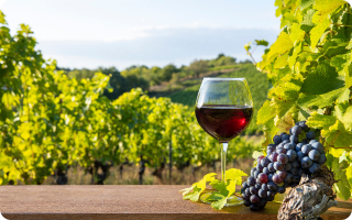 Que manger avec du vin rouge ? - Marché aux Vins - Vins de Bourgogne