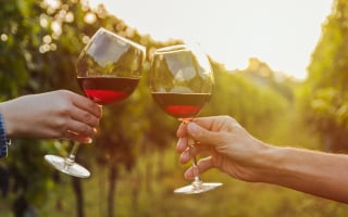 vin rouge rhone