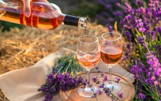 vin rosé Provence