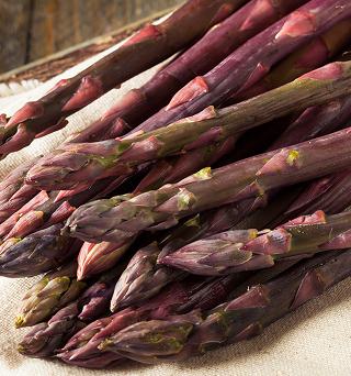  asperge violette