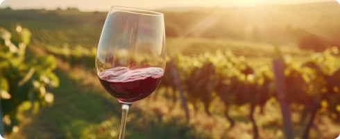 vins italiens forts
