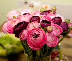 Fleurs